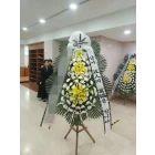 Uploaded File
