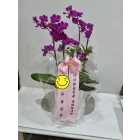 Uploaded File