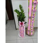 Uploaded File